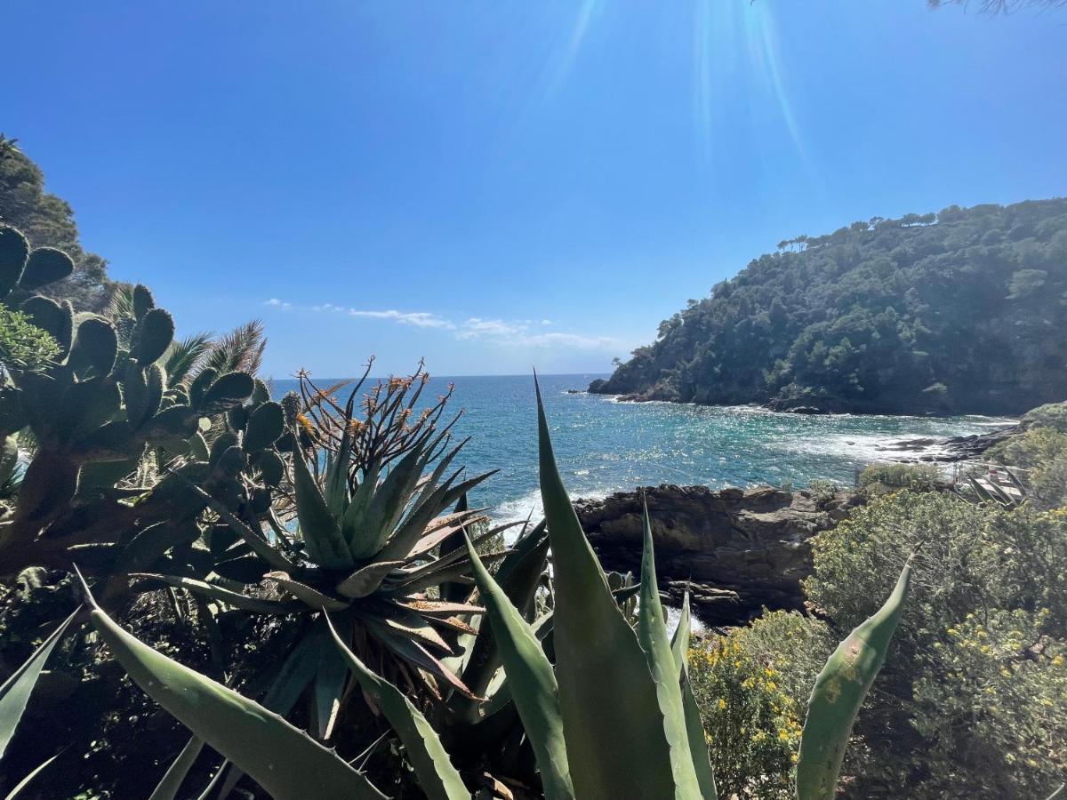 La Villa Cavalaire Dış mekan fotoğraf