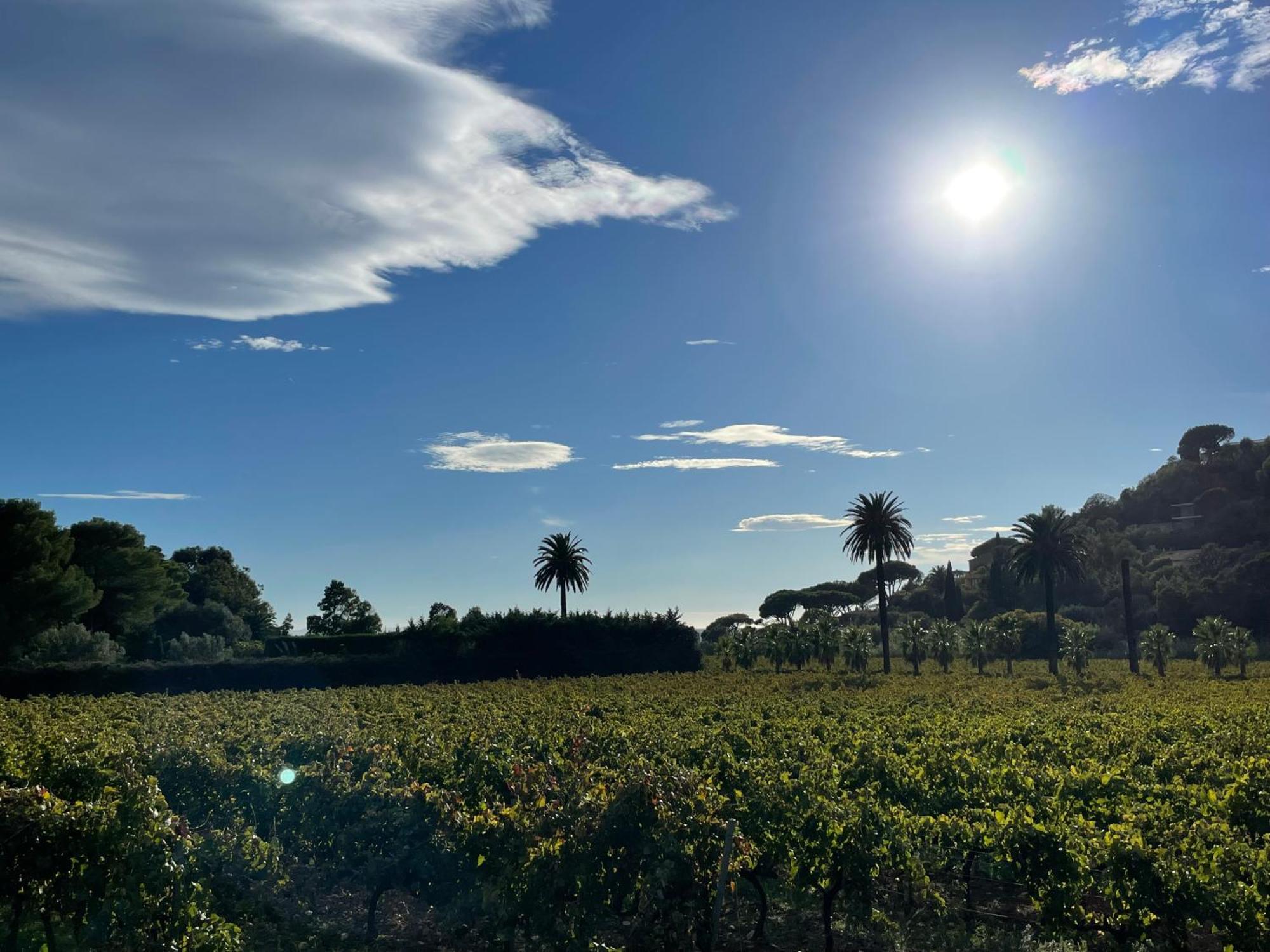 La Villa Cavalaire Dış mekan fotoğraf